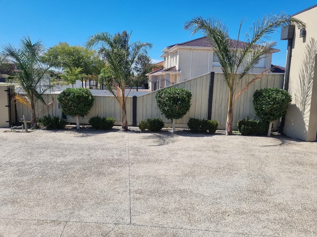 Hedge Trimming & Pruning