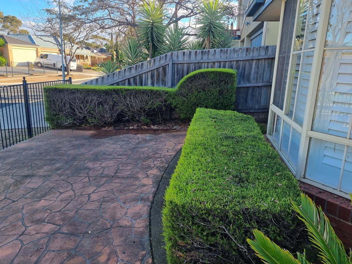 Tree Trimming & Rubbish Removal