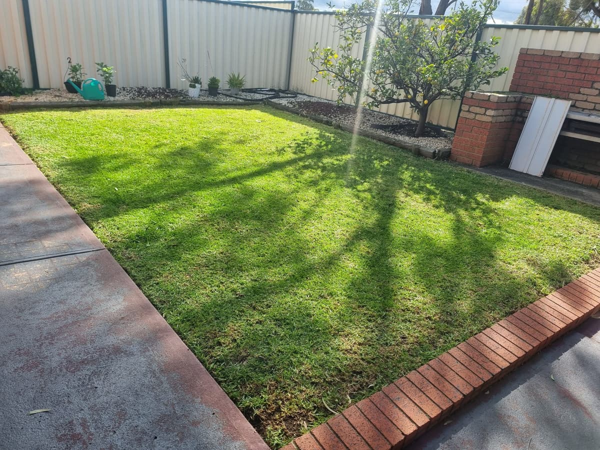 Professional Weeding & Garden Maintenance